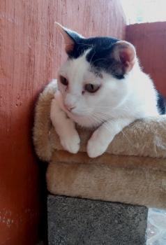 Smudge Bild von Smudge