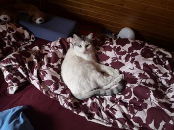 Fienchen Bild von Fienchen