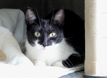 Hilda Bild von Hilda
