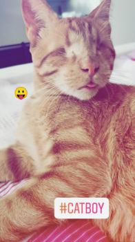 Bubu Bild von Bubu
