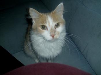 Bild von Rosalie