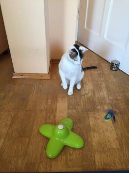Loui Bild von Loui