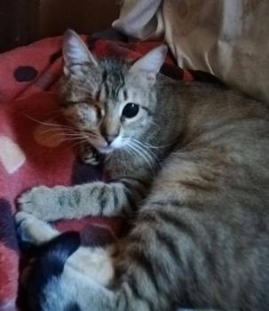 Leon Bild von Leon