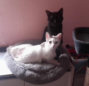 Desirée Bild von Desirée