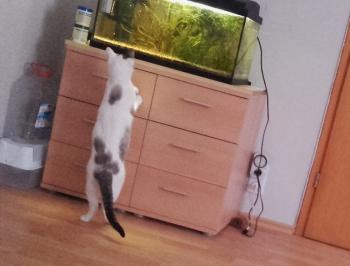 Desirée Bild von Desirée
