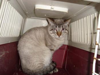 Ohne Bild von Darius