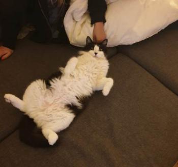 Jeffrey Bild von Jeffrey