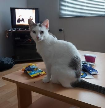 Desirée Bild von Desirée