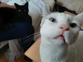 Desirée Bild von Desirée