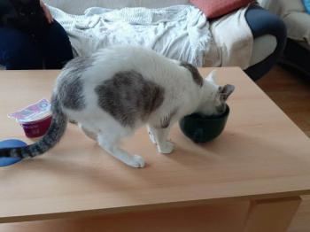 Desirée Bild von Desirée