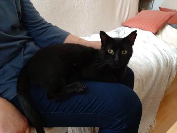 Babush Bild von Babush