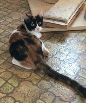 Loulou Bild von Loulou