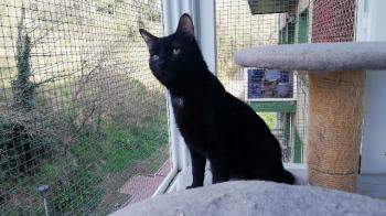 Jova Bild von Jova
