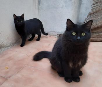 Coco Bild von Coco