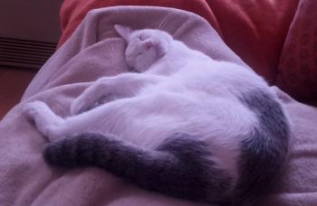 Desirée Bild von Desirée