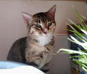 Princesa Bild von Princesa