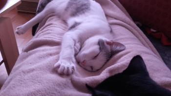 Desirée Bild von Desirée