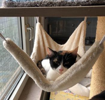 Loulou Bild von Loulou