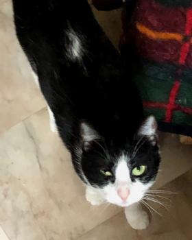 Afra Bild von Afra