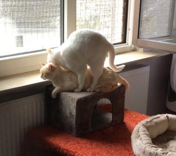 Kim Bild von Kim