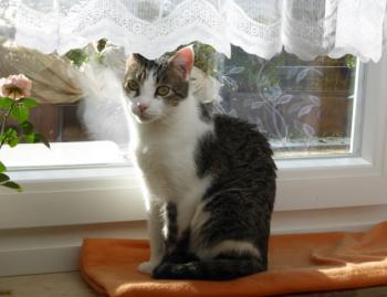 Tacita Bild von Tacita