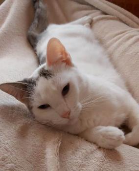 Desirée Bild von Desirée