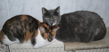 Nane Bild von Nane