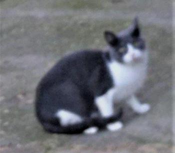 Oskar Bild von Oskar