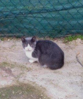 Oskar Bild von Oskar
