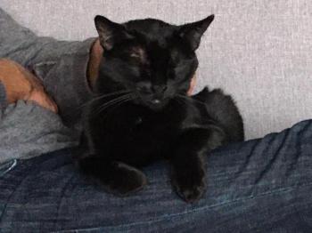 Njuscha Bild von Njuscha