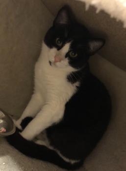Ralfi Bild von Ralfi