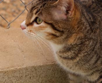 Princesa Bild von Princesa