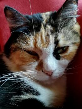 Bild von Geraldine