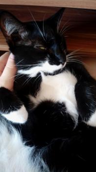 Deisy Bild von Deisy