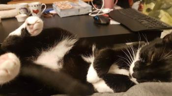 Deisy Bild von Deisy