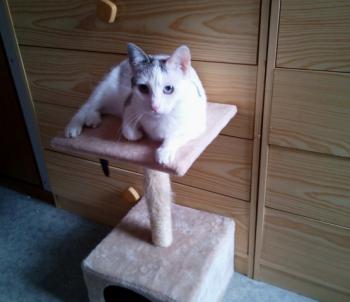 Desirée Bild von Desirée