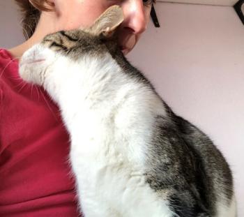 Jowie Bild von Jowie