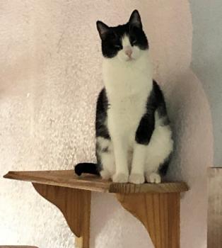 Afra Bild von Afra