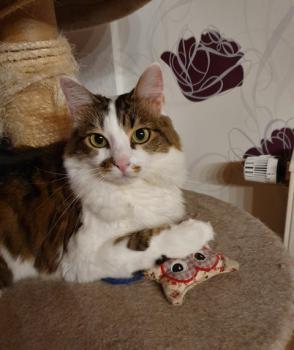 Suzette Bild von Suzette