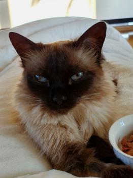 Bild von Sophia