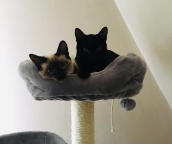 Baccio Bild von Baccio