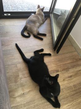 Baccio Bild von Baccio