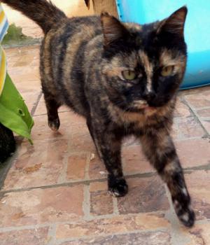 Alaska Bild von Alaska