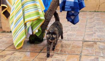 Alaska Bild von Alaska