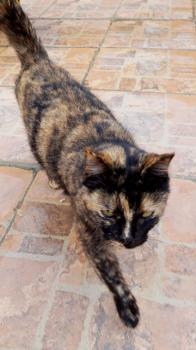 Alaska Bild von Alaska