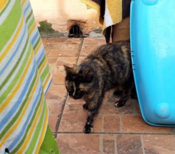 Alaska Bild von Alaska