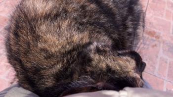 Alaska Bild von Alaska