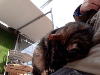 Alaska Bild von Alaska