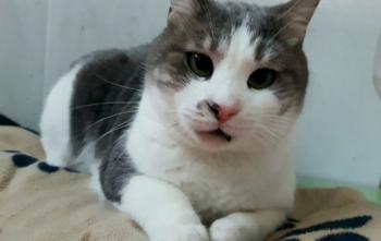 Selina Bild von Selina
