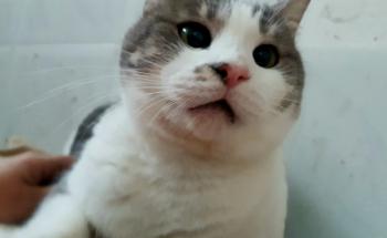 Selina Bild von Selina